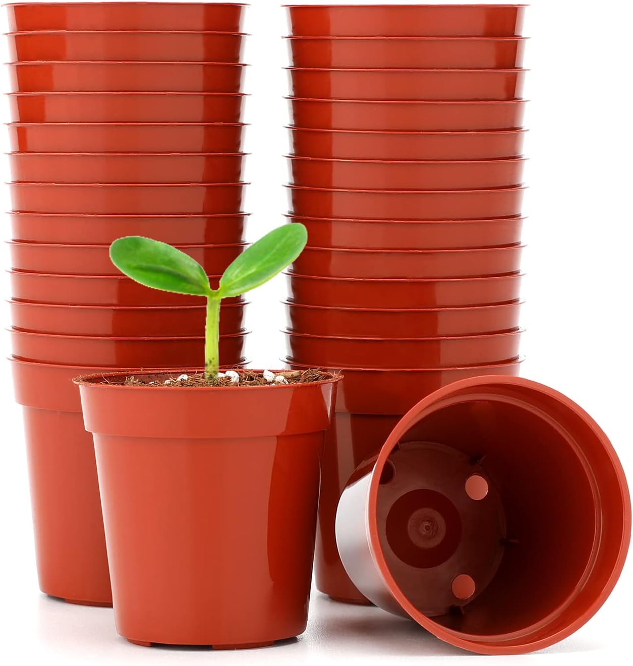 Detalle de Mini plastic plant pots 5.4cm, 50-pack