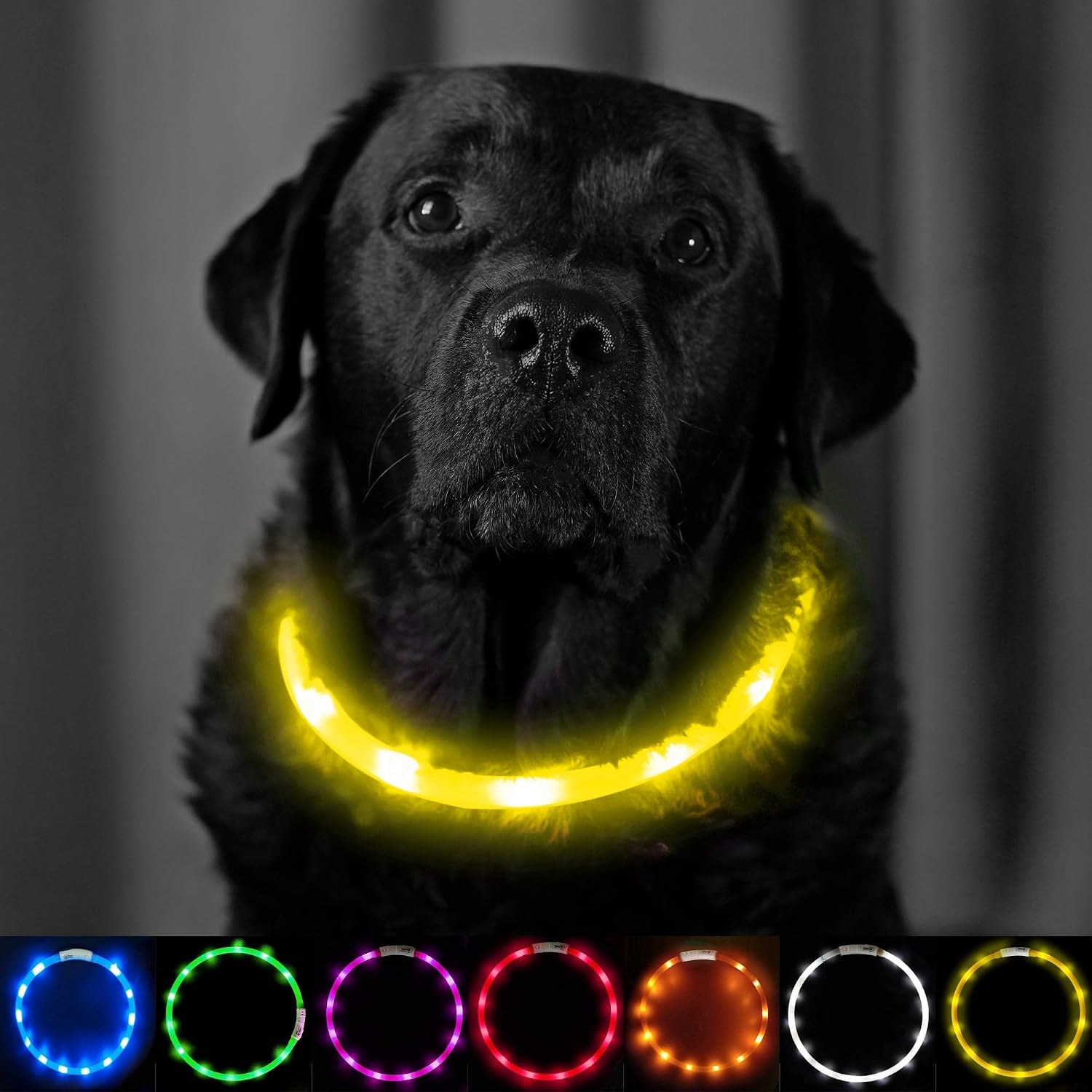 Thumbnail 3 de PetSol LED Dog Collar 3‑Mode USB Rechargeable