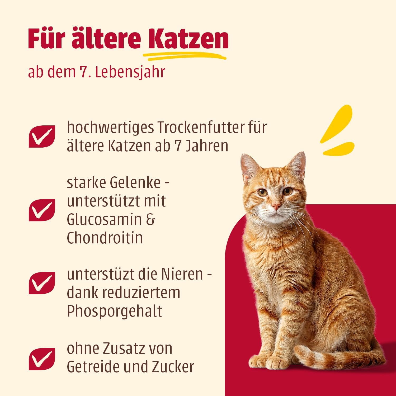 Detalle 2 de Animonda Carny Katzen Trockenfutter mit Huhn + Rind – 10 kg, Senior & getreidefrei