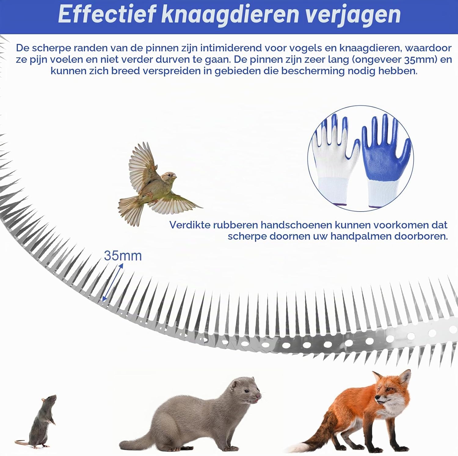 Thumbnail 3 de KERCAMKEL marterwering voor regenpijp, 300 cm roestvrij staal met punten