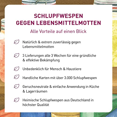 Thumbnail 6 de Plantura Schlupfwespen gegen Lebensmittelmotten, 9 Karten – natürliche Lösung für Mottenprobleme
