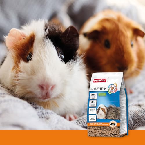 Detalle 2 de Beaphar Care+ Pienso Cobayas 5kg 🐹 Comida Completa Fibra