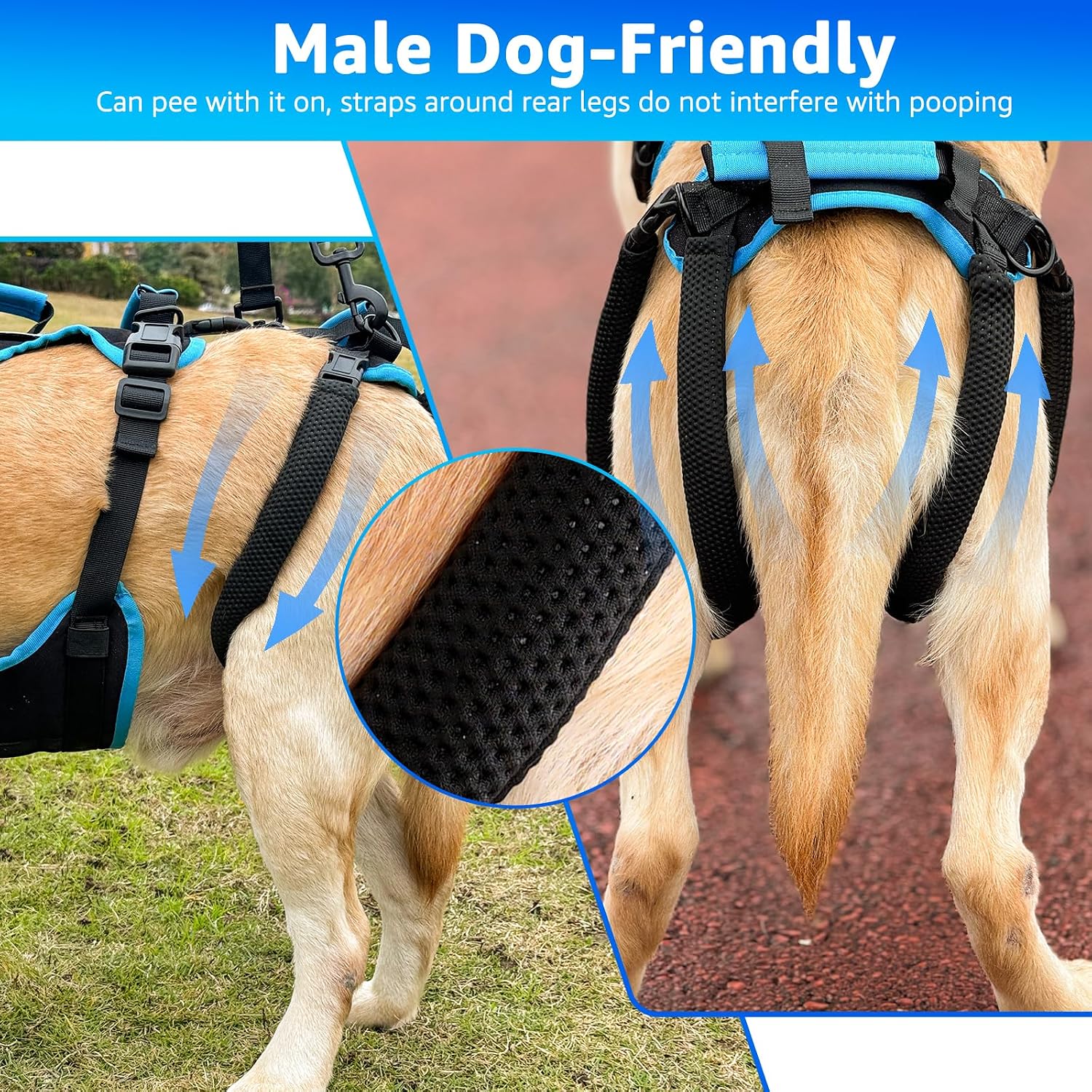 Detalle 2 de Lafoty harnais 2-en-1 pour chiens âgés ⚙