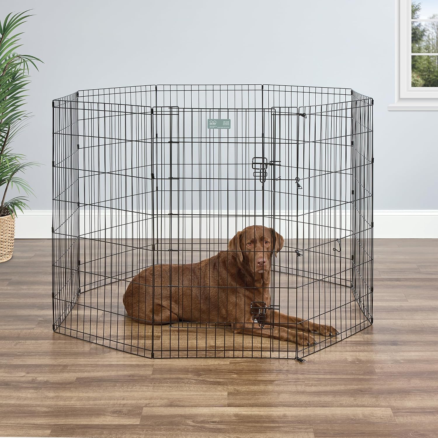 Detalle de MidWest Homes for Pets recinto pieghevole 1,5 m