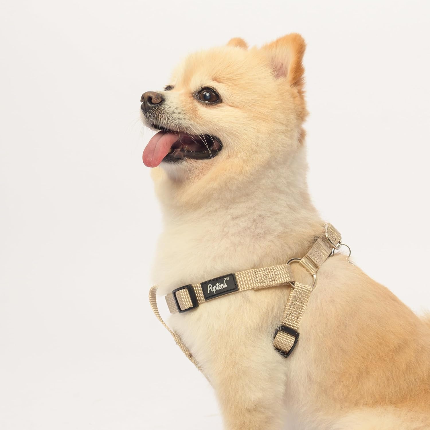 Detalle 1 de PUPTECK Dog Harness Medium