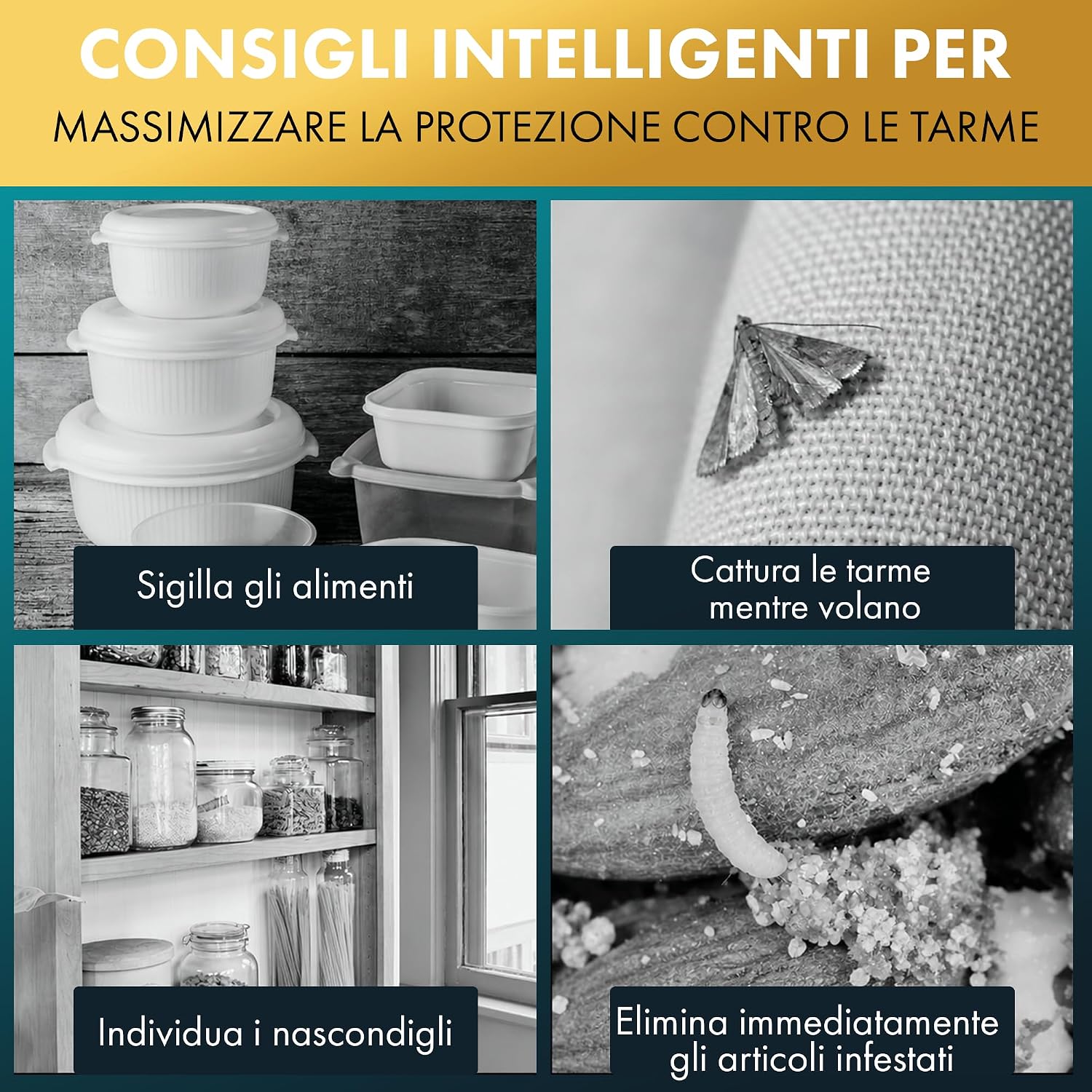 Thumbnail 6 de Trappole per Tarme delle Dispense (6 Pezzi) – Feromoni mirati per tarme alimentari, sicurezza domestica e monitoraggio efficace