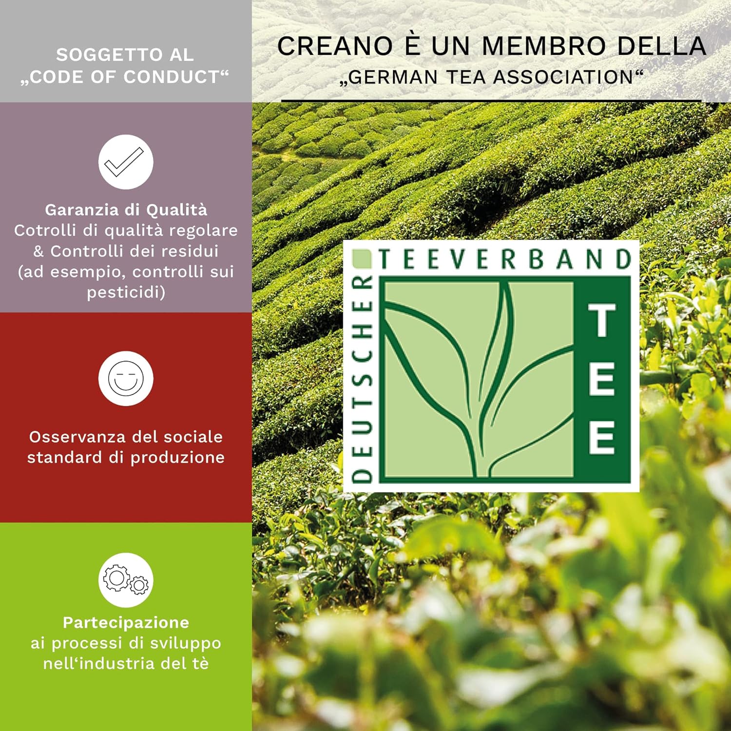 Thumbnail 3 de Creano Set Regalo 18 Fiori di Tè Bianco, Verde e Nero in scatola magnetica elegante con finestra