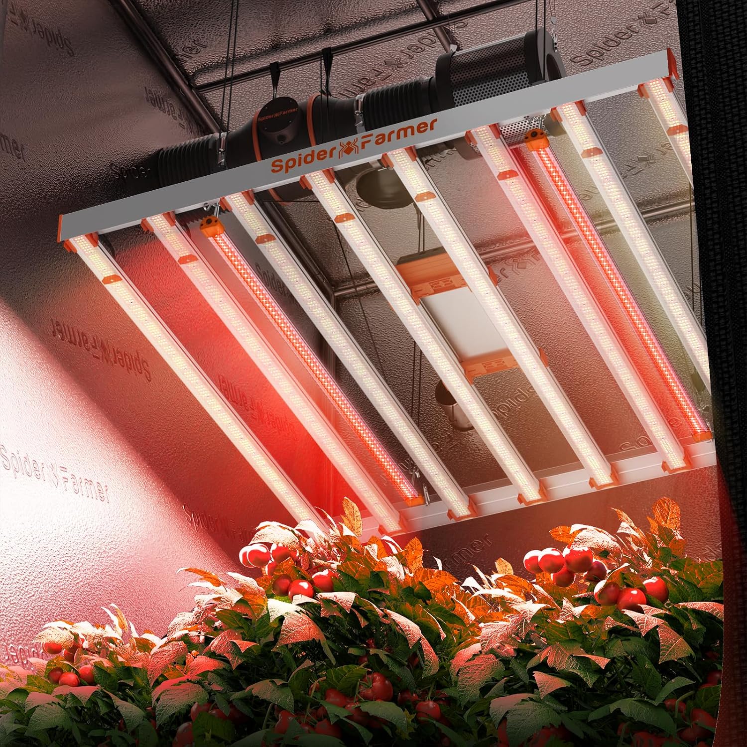 Thumbnail 5 de Spider Farmer SUPP-R60 Deep Red LED Licht 90 cm