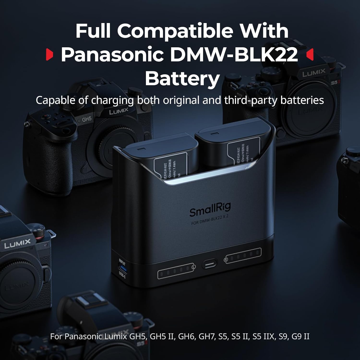 Detalle de SmallRig DMW-BLK22 Caricabatterie per Panasonic: ricarica rapida a doppio slot per GH, S e G series