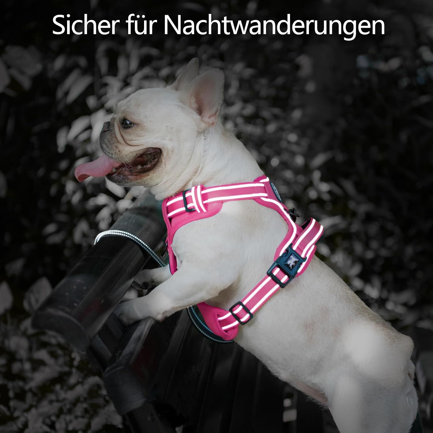Thumbnail 6 de PoyPet Hundegeschirr ohne Zug mit reflektierenden Elementen, weich gepolsterte Weste und Steuergriff – für große Hunde (Rosa, XL)