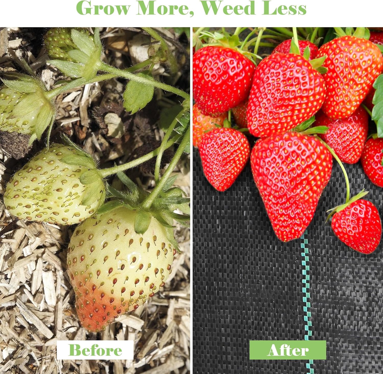 Thumbnail 5 de FEED GARDEN 4FT x 100FT Landscape Fabric Weed Barrier (2 Pack 4x50FT) with 30 U-Shaped Stakes