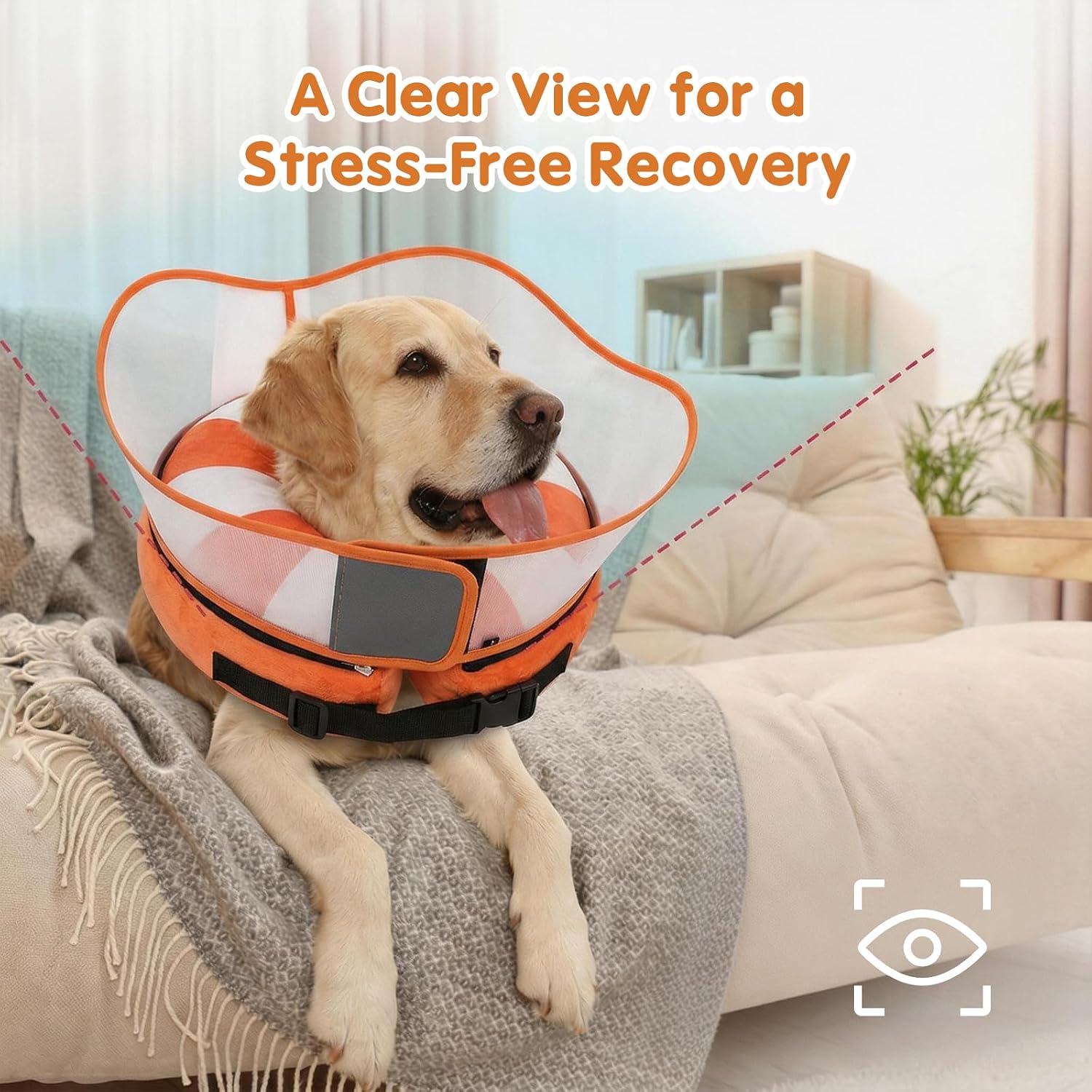 Detalle 2 de Avont Inflatable Dog Recovery Collar XL