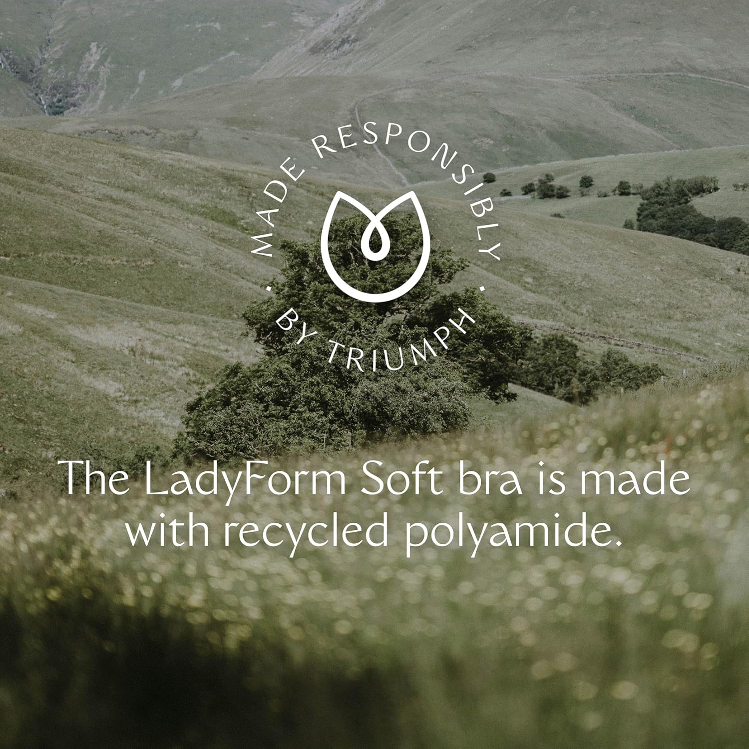 Thumbnail 6 de Triumph Femme Ladyform Soft W X Bra — soutien-gorge quotidien, confort et douceur