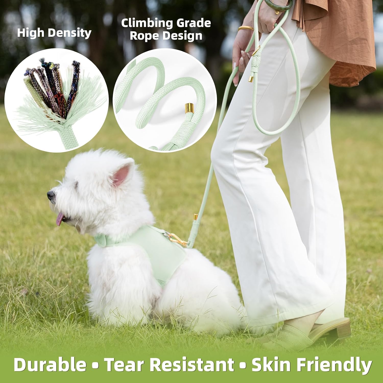 Thumbnail 3 de Sunraymascota Dog Leash, 5FT