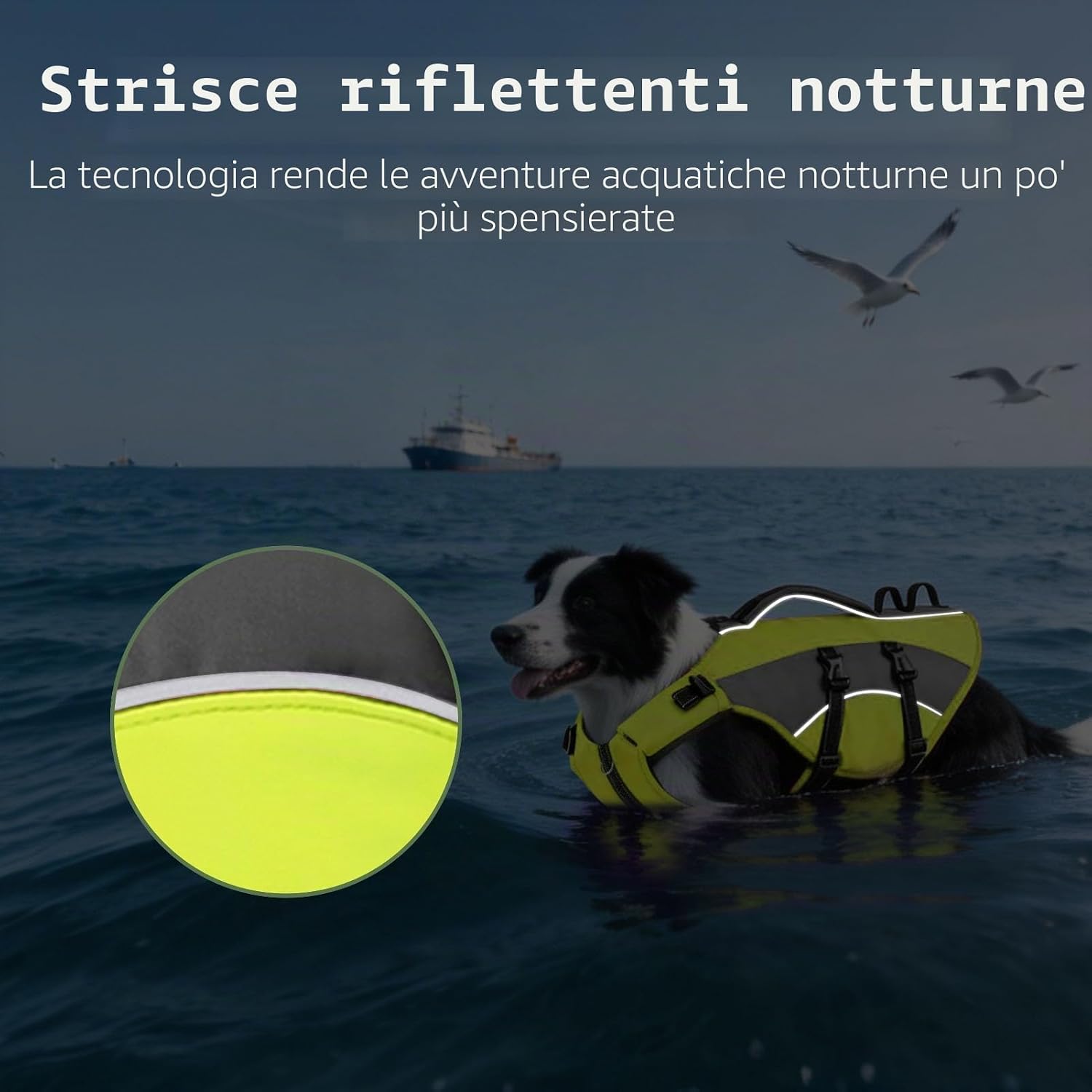 Thumbnail 3 de CITÉTOILE Salvagente Cane Regolabile Ripstop XL – Giubbotto di Salvataggio Verde per Cani