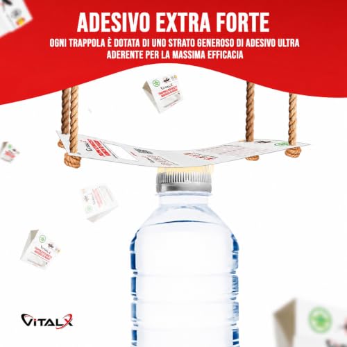 Detalle de VITALX Confezione da 30 Trappole per Scarafaggi – Trappola Ultrad decisiva adesiva, senza veleni