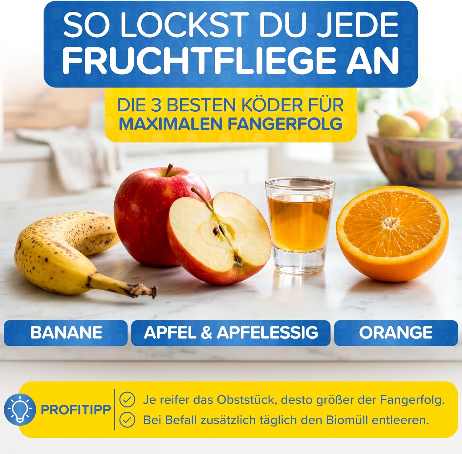 Detalle 2 de Patronus Fruchtfliegenfalle für Küche – 2x robuste, wiederverwendbare Fruchtfliegen Lebendfalle (spülmaschinenfest)