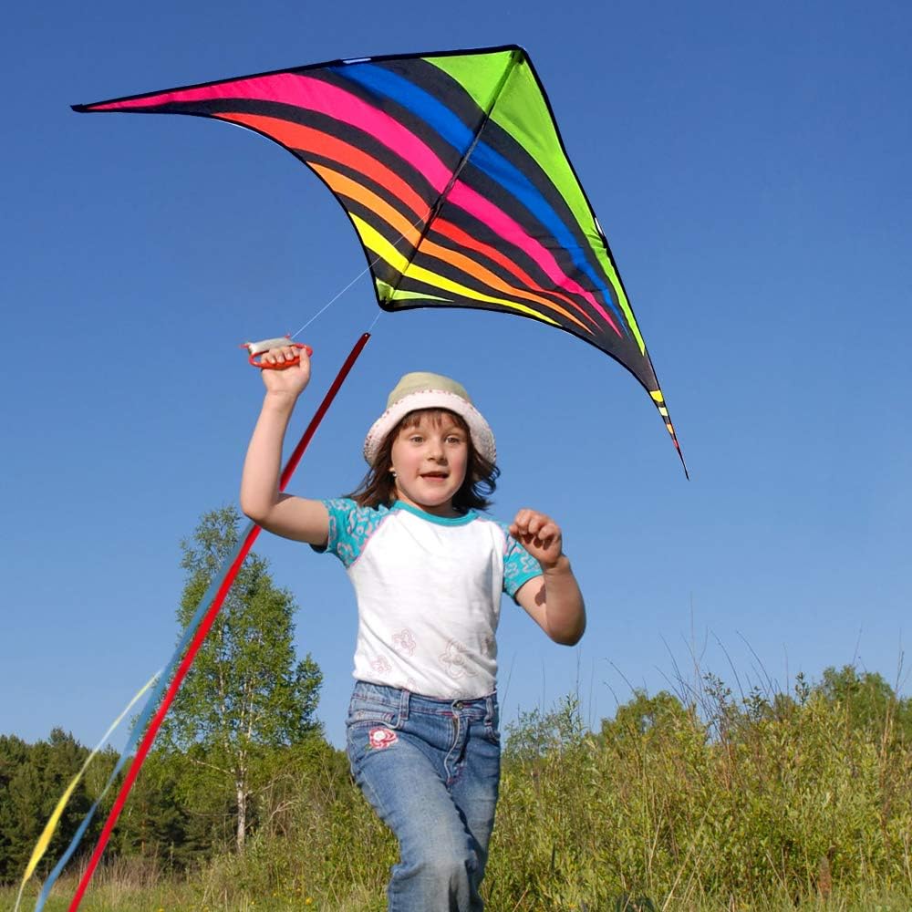 Detalle de Mint's Colorful Life Delta Kite — Easy-to-Fly Beach Kite for Kids & Adults