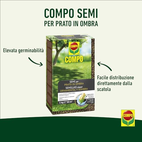 Thumbnail 2 de COMPO SEMI Prato in Ombra, Miscela Speciale: semi ricoperti per prato verde in zone d’ombra (1 kg)