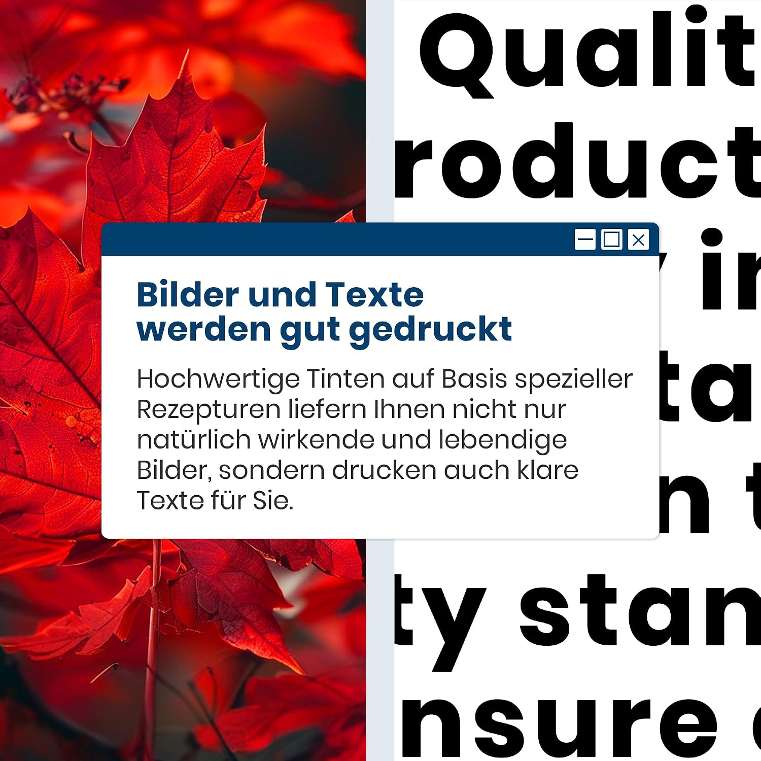 Thumbnail 6 de PG540XL CL541XL Multipack Druckerpatronen 🖨
