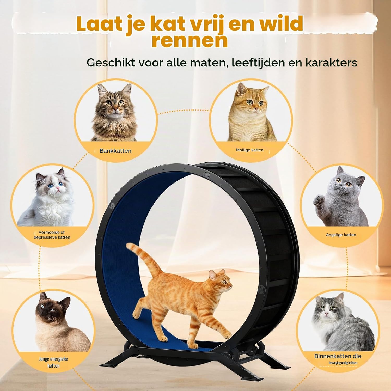 Thumbnail 1 de GTPLAYER PET-CEW01-FR kattenwiel van metaal, XL 100 cm, blauw
