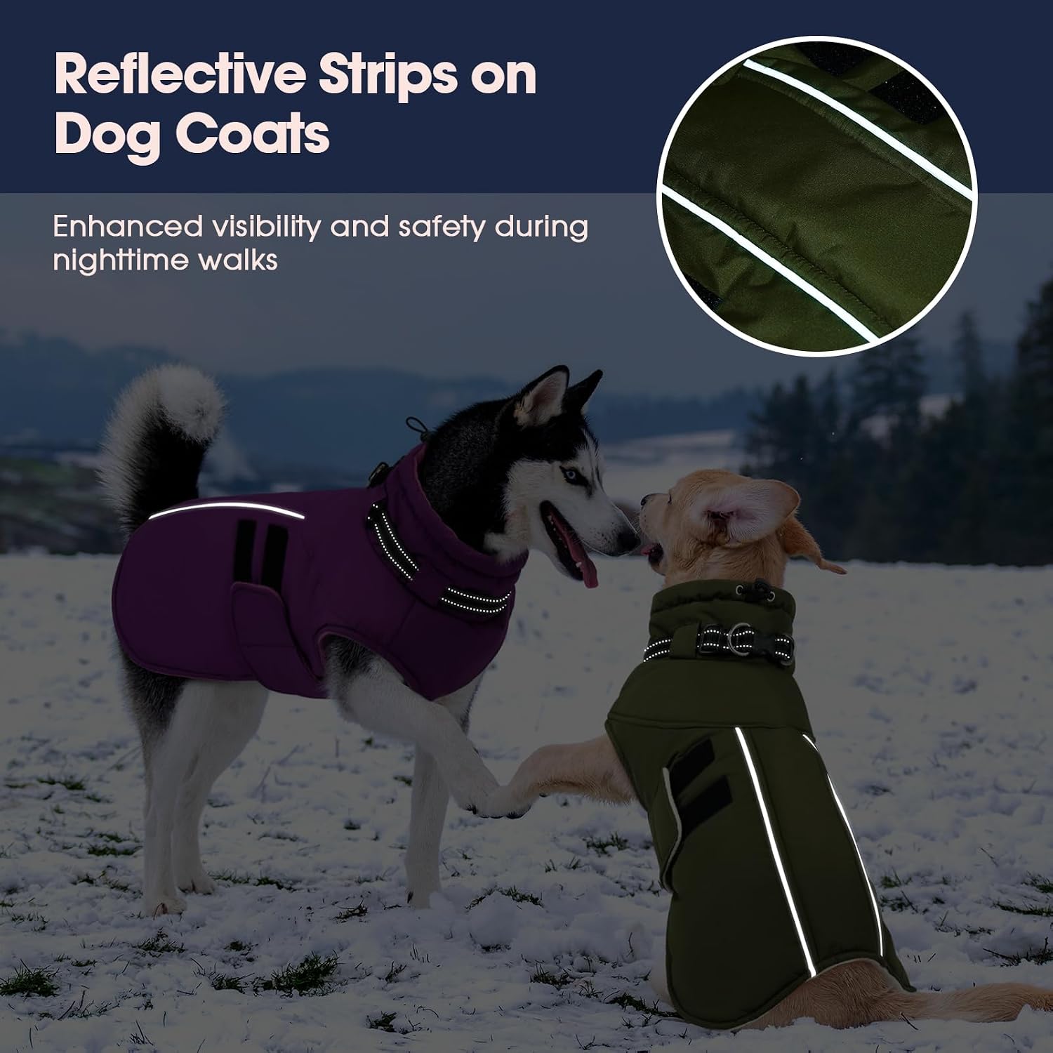 Detalle 2 de IECOii Dog Coat, Size L
