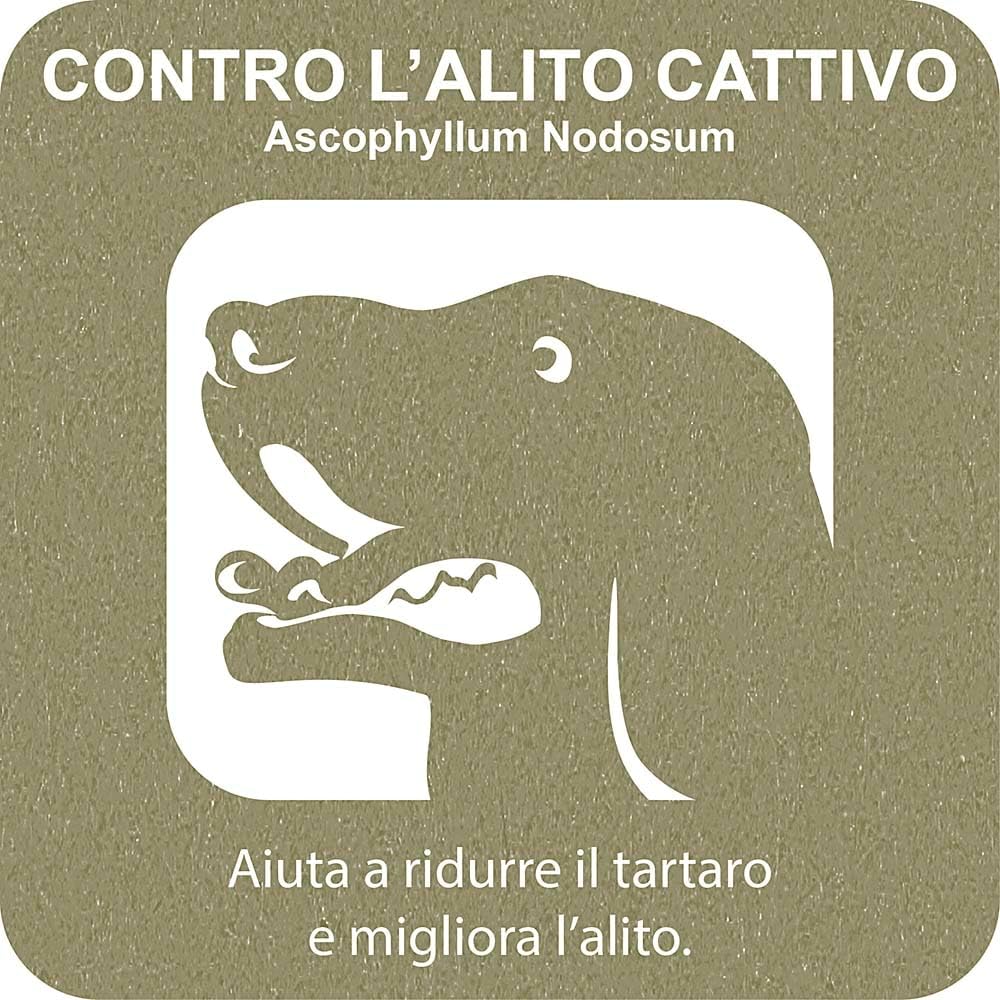Detalle de Ferplast Snack cane Naturale per igiene orale – Kit da 3 confezioni (315 g) con alga Ascophillum