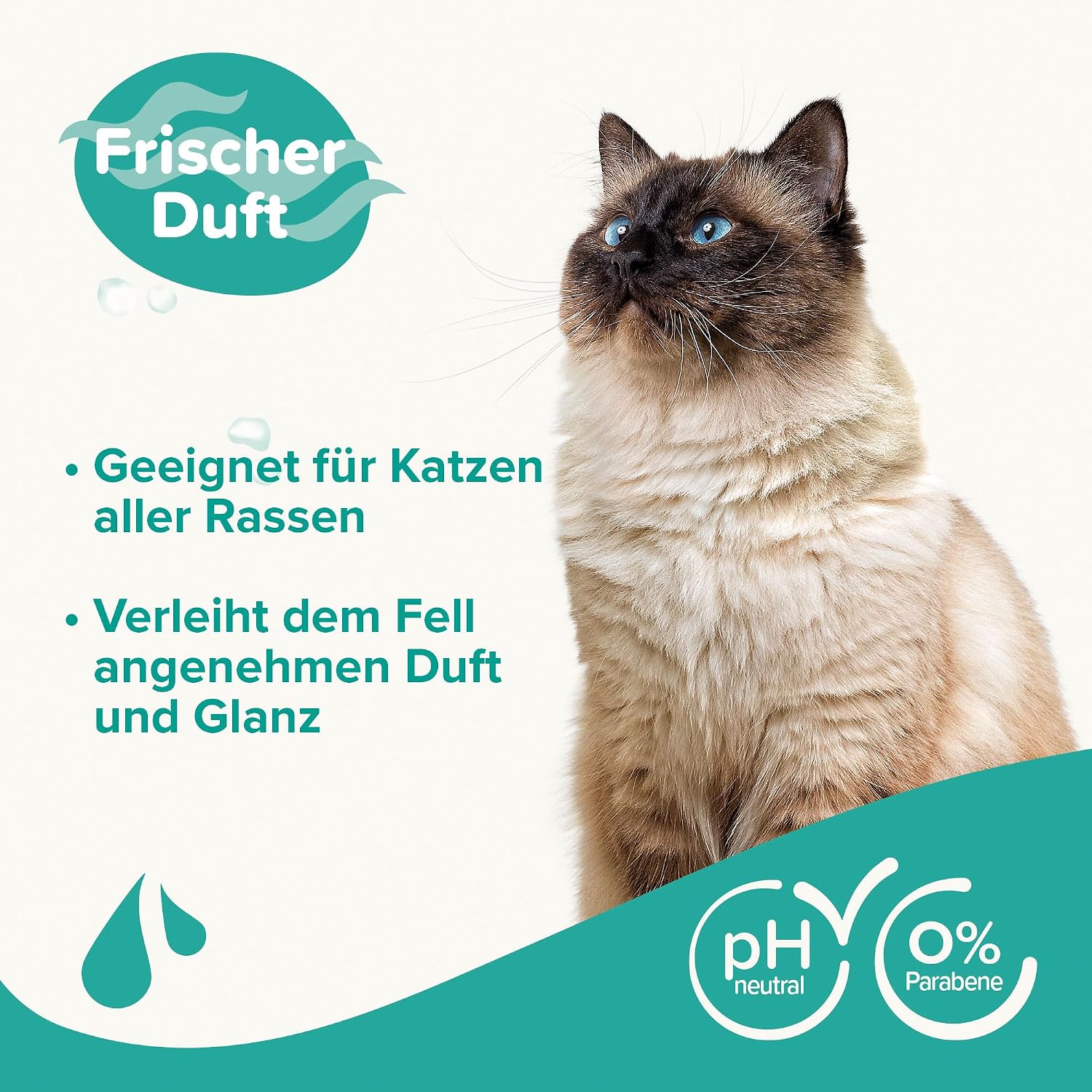 Detalle de Beaphar Katzen Shampoo mit Macadamiaöl und Aloe Vera – pH-neutral, vegan, ohne Parabene (250 ml)
