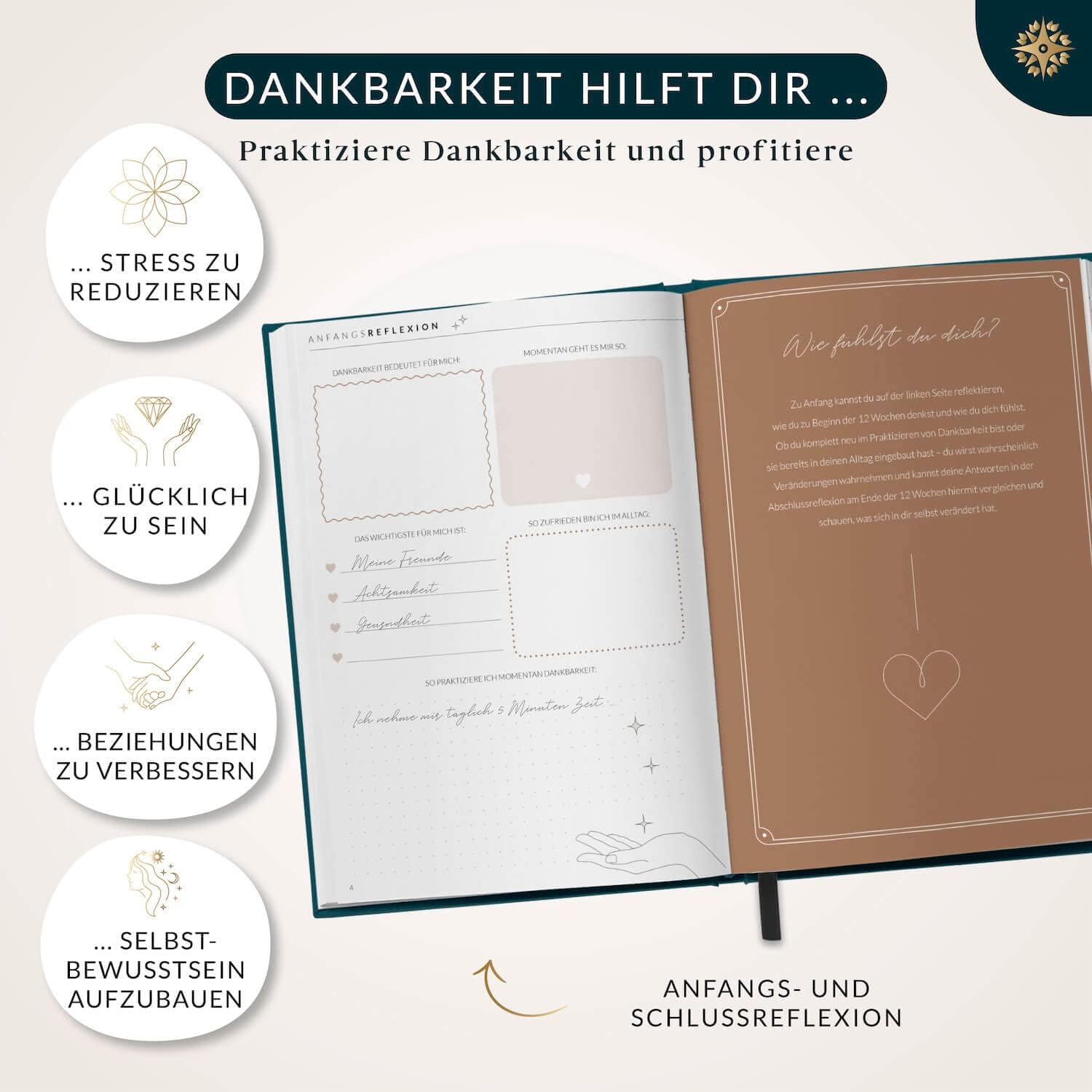 Thumbnail 5 de LEBENSKOMPASS Dankbarkeitstagebuch Moonlight DIN A5 📚