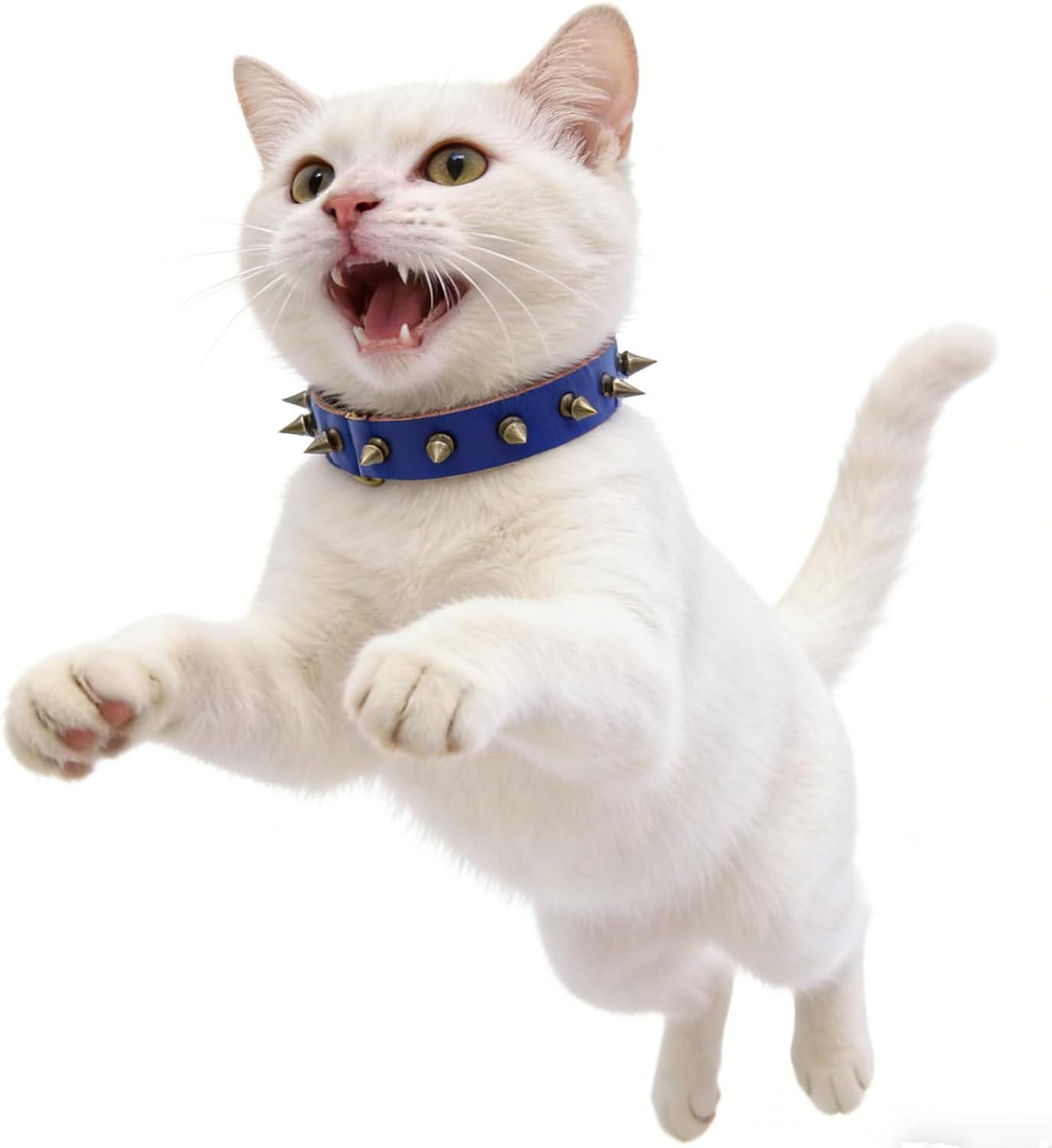 Detalle de Dog Collar, Small