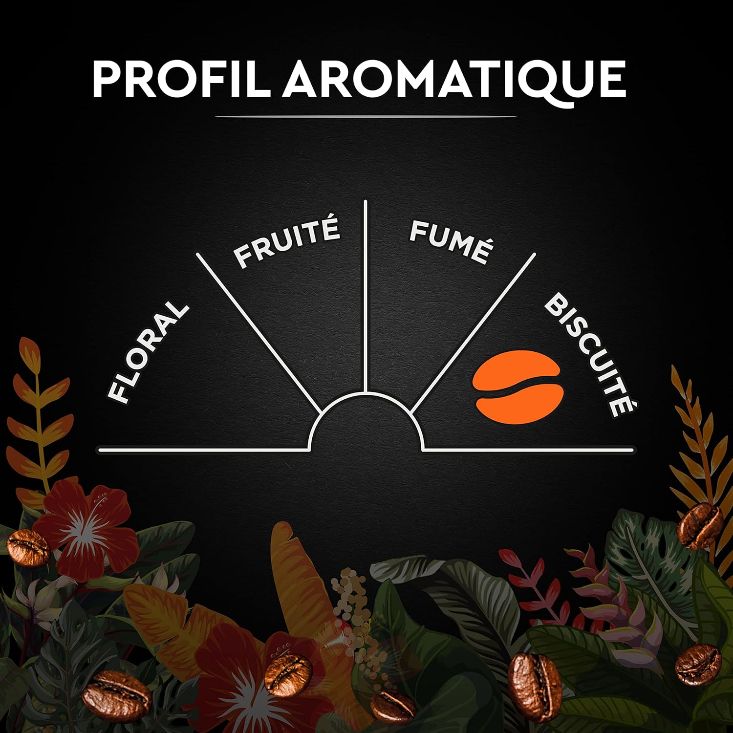 Detalle 2 de CARTE NOIRE Secrets de Nature – Café en grains Catuai Romex, Rainforest Alliance, paquet 1 kg