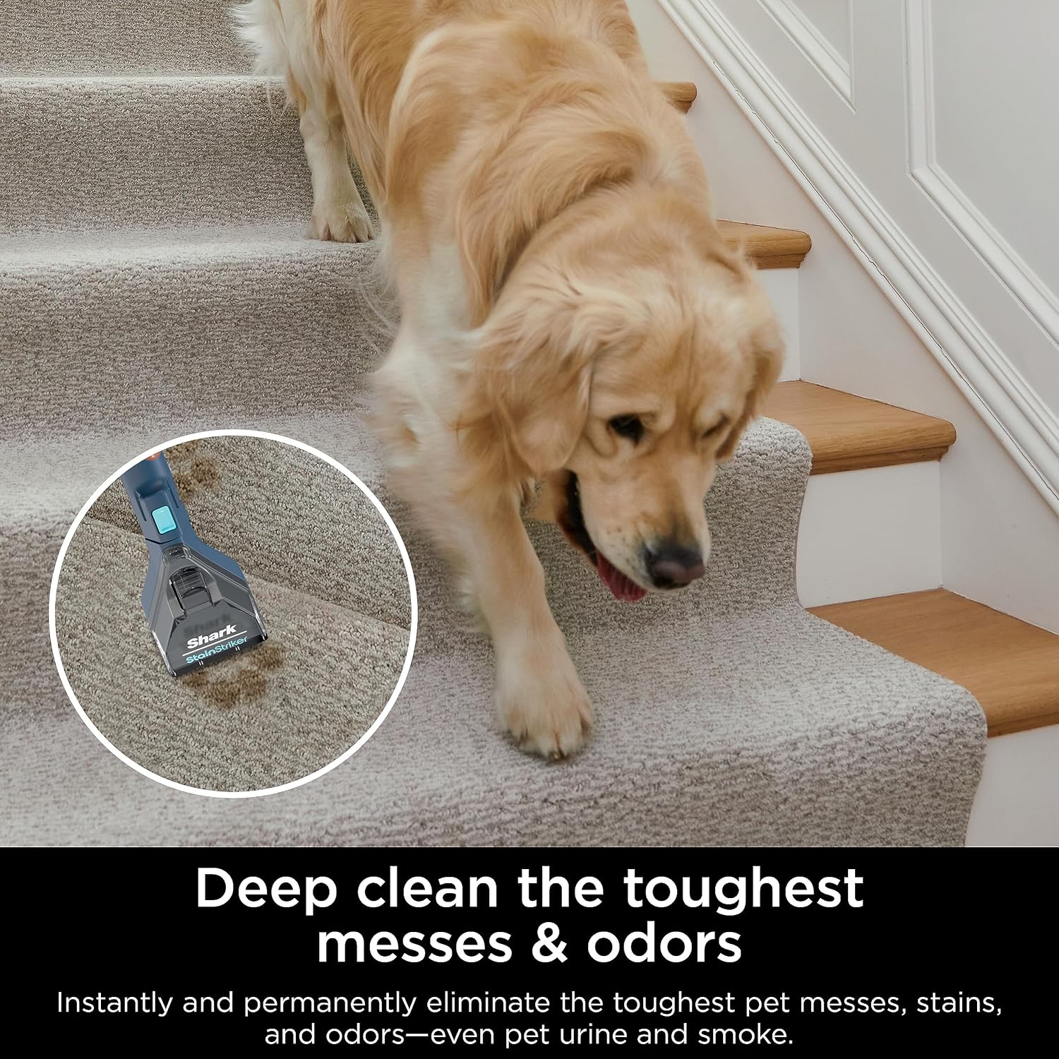 Detalle 2 de Shark EX200C CarpetXpert Cleaner with StainStriker for Carpets & Upholstery