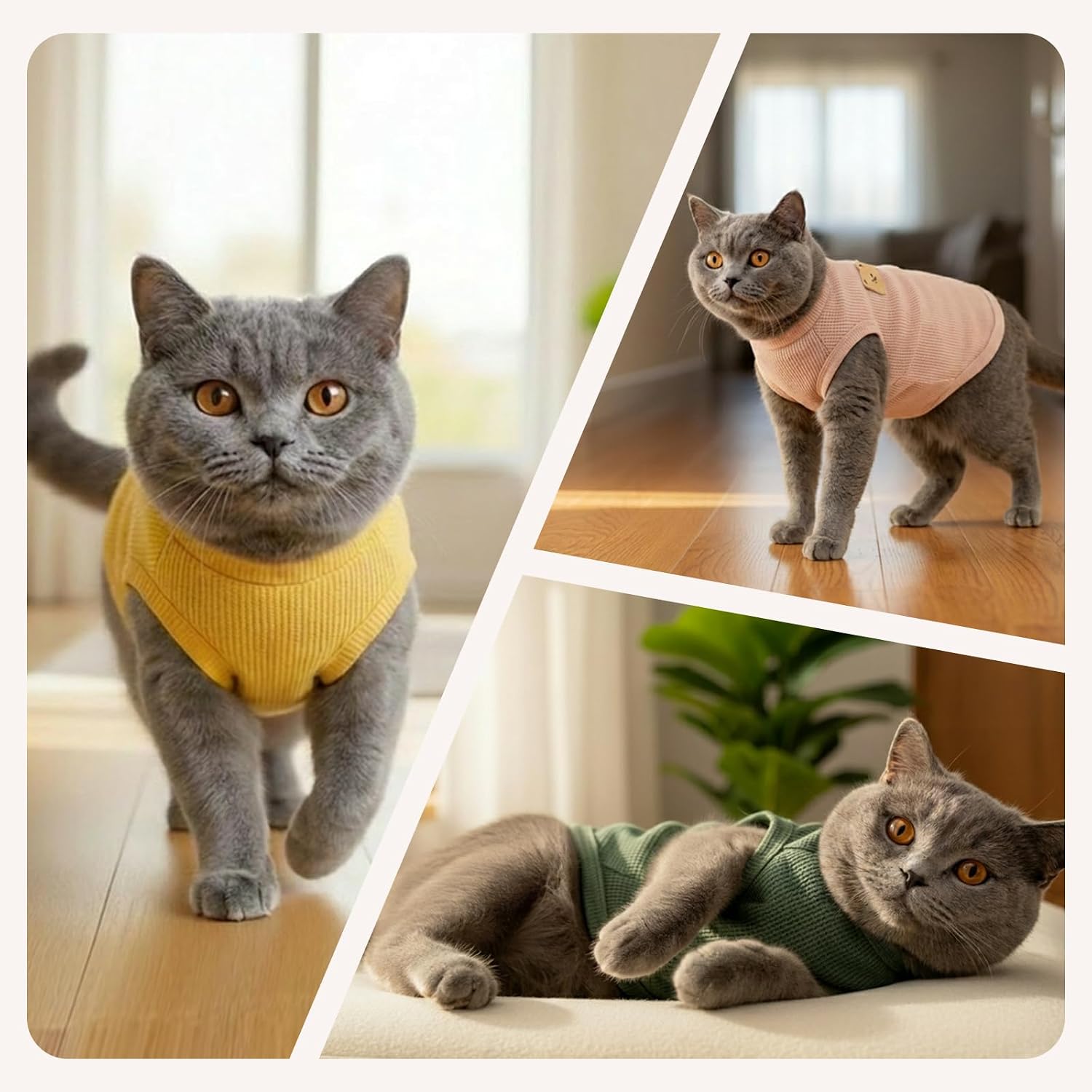 Thumbnail 4 de Coohams Katzenkleidung 3er Pack – Katzen Tshirt aus Waffelstoff (2XL), inklusive Bären-Apperl