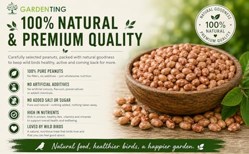Detalle de Garden Ting Premium Peanut Kernels Wild Bird Food, 3 Litre