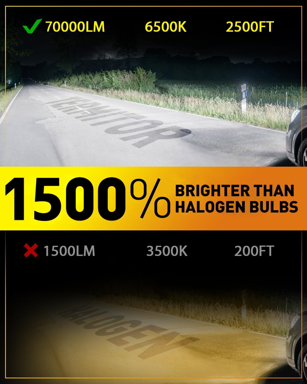 Detalle 2 de Termitor H13/9008 Light Bulbs 6500K
