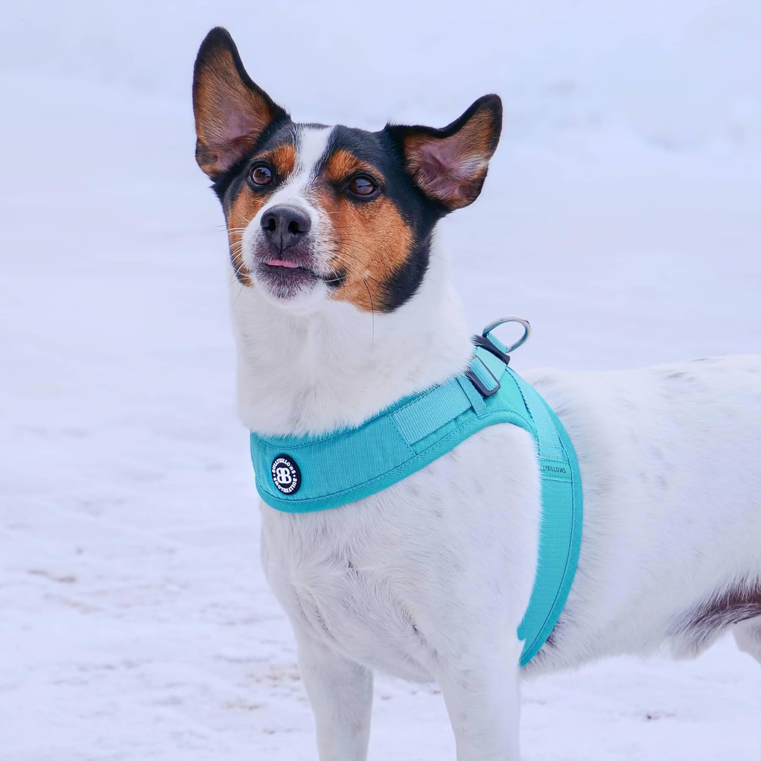 Thumbnail 4 de BullyBillows Boomerang Harness (XXSmall) – non-restrictive lightweight dog harness with neoprene