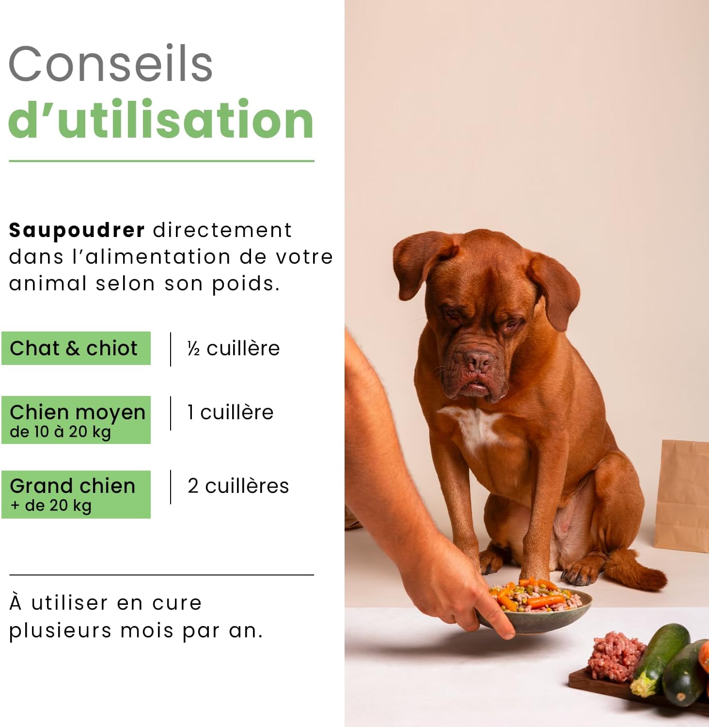 Detalle 2 de BUBIMEX Poudre de Moules Vertes – Bien-Être Articulaire pour chien et chat (60 g)