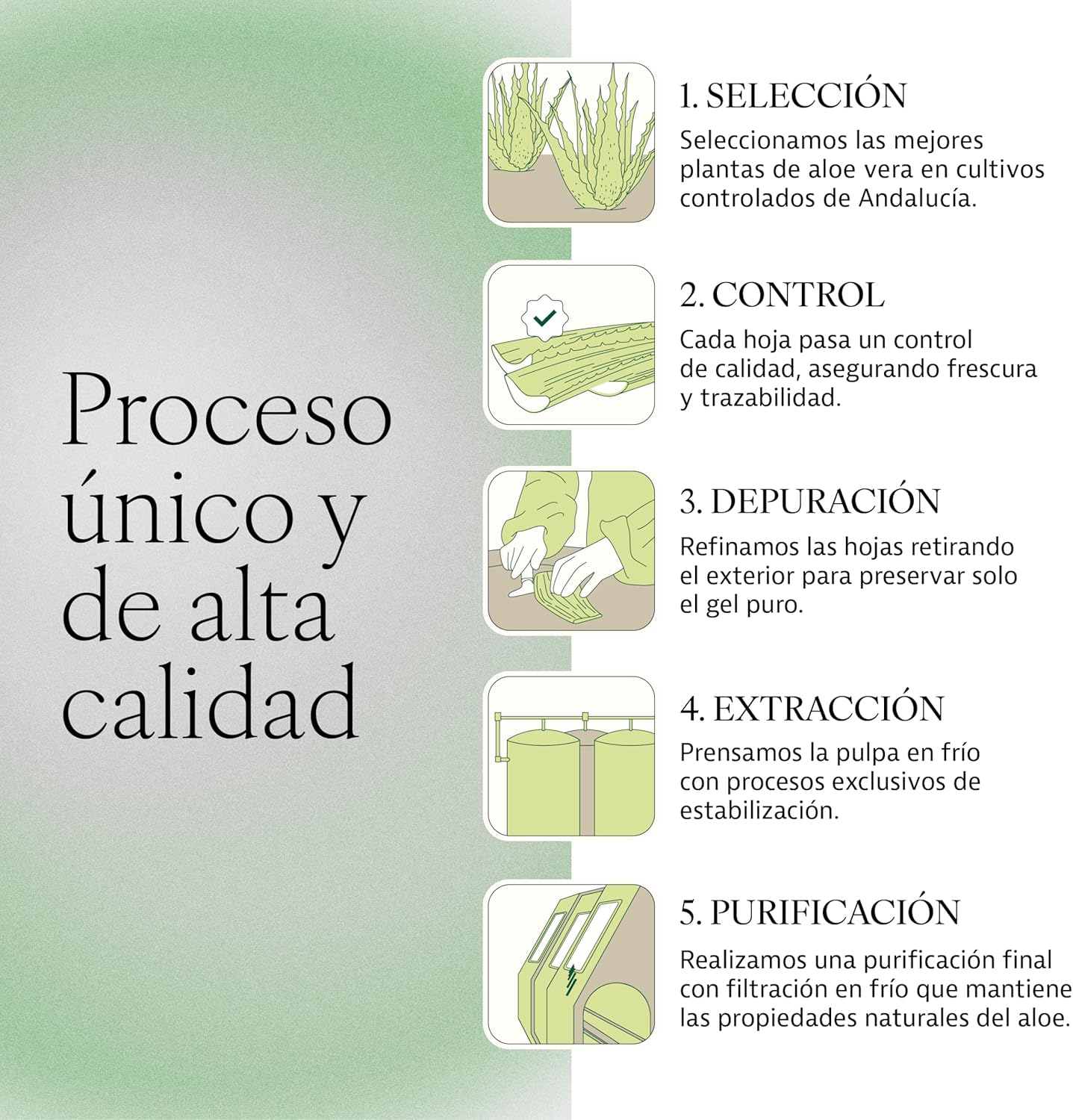 Detalle de Plameca Aloe Verum Premium (1L) — jugo puro de aloe vera con pulpa, sin aloína