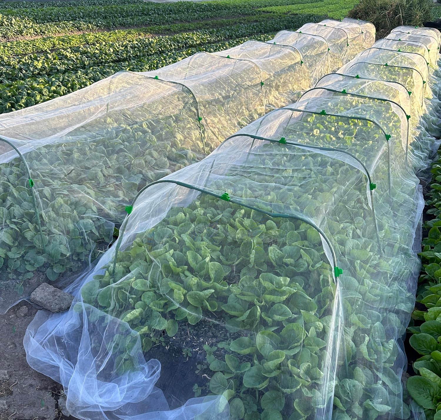 Detalle de Garden Mesh Netting Kit: 3x13M Fine Mesh Net with 8 Garden Hoops and 24 Clips for Pest Protection
