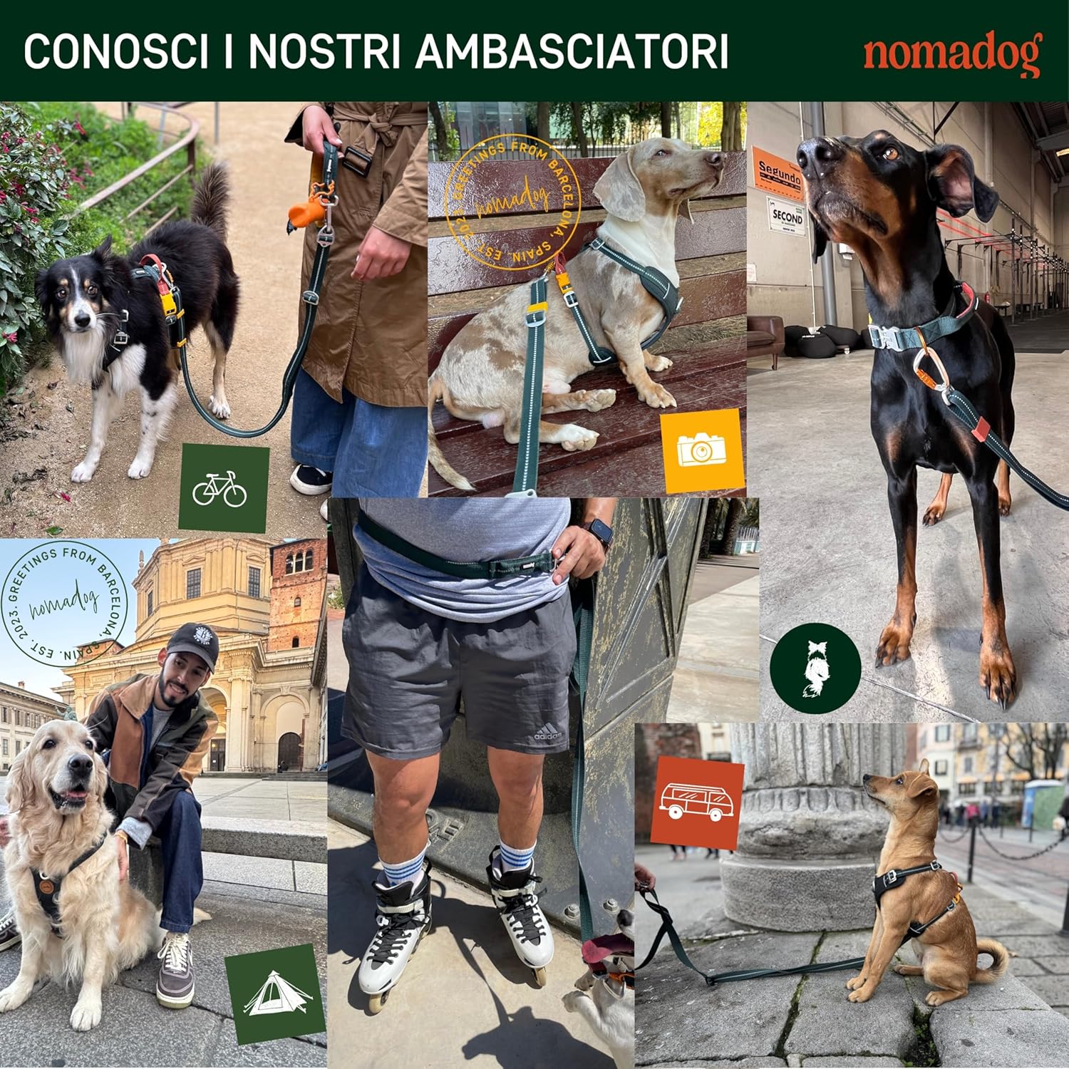 Thumbnail 6 de Nomadog Trailblazer: Guinzaglio per Cani Multifunzionale 6-in-1 con Moschettone Girevole, 1,4–2,4 m, Riflettente
