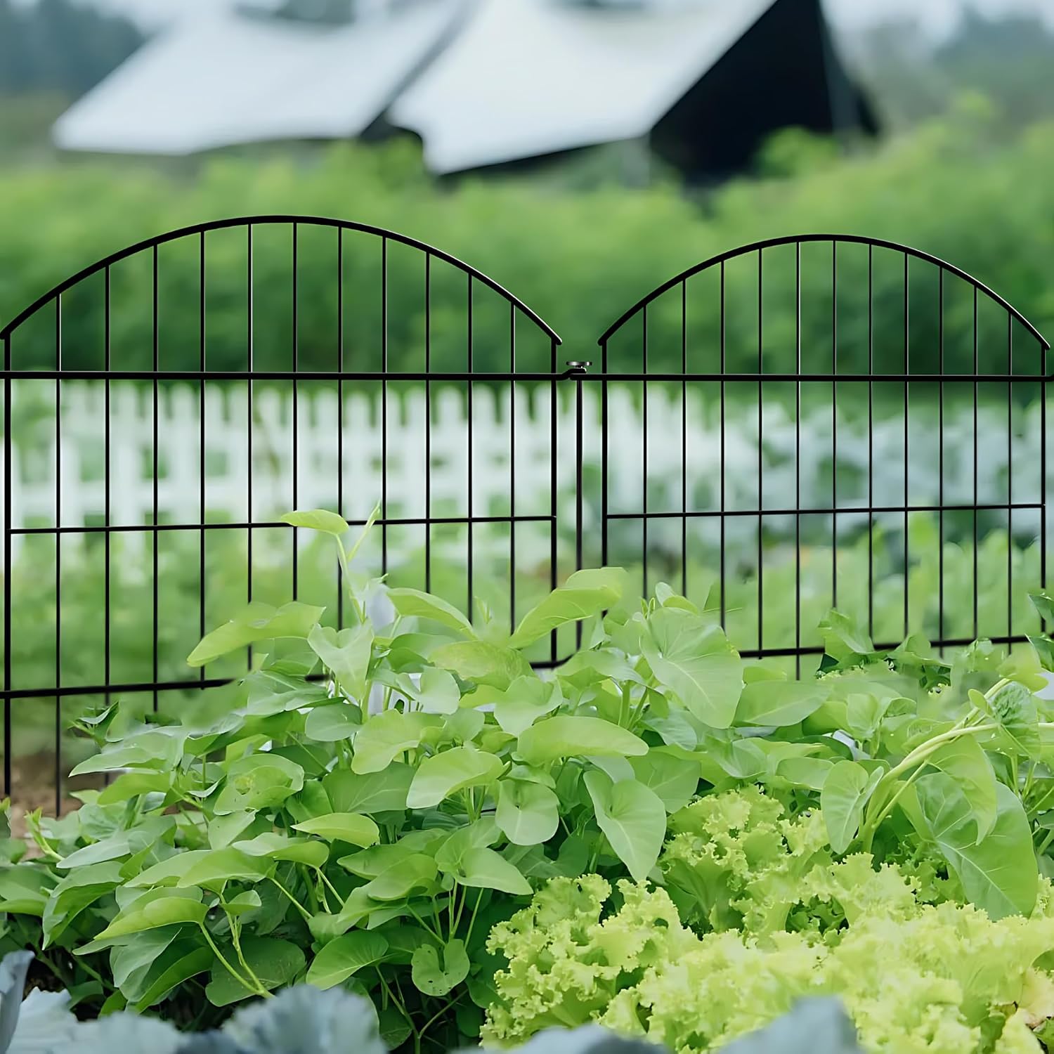 Detalle 2 de Thealyn Decorative Garden Fence: 101 cm H x 71 cm W (4 Panels + 1 Gate) with 3.5 m Total Length