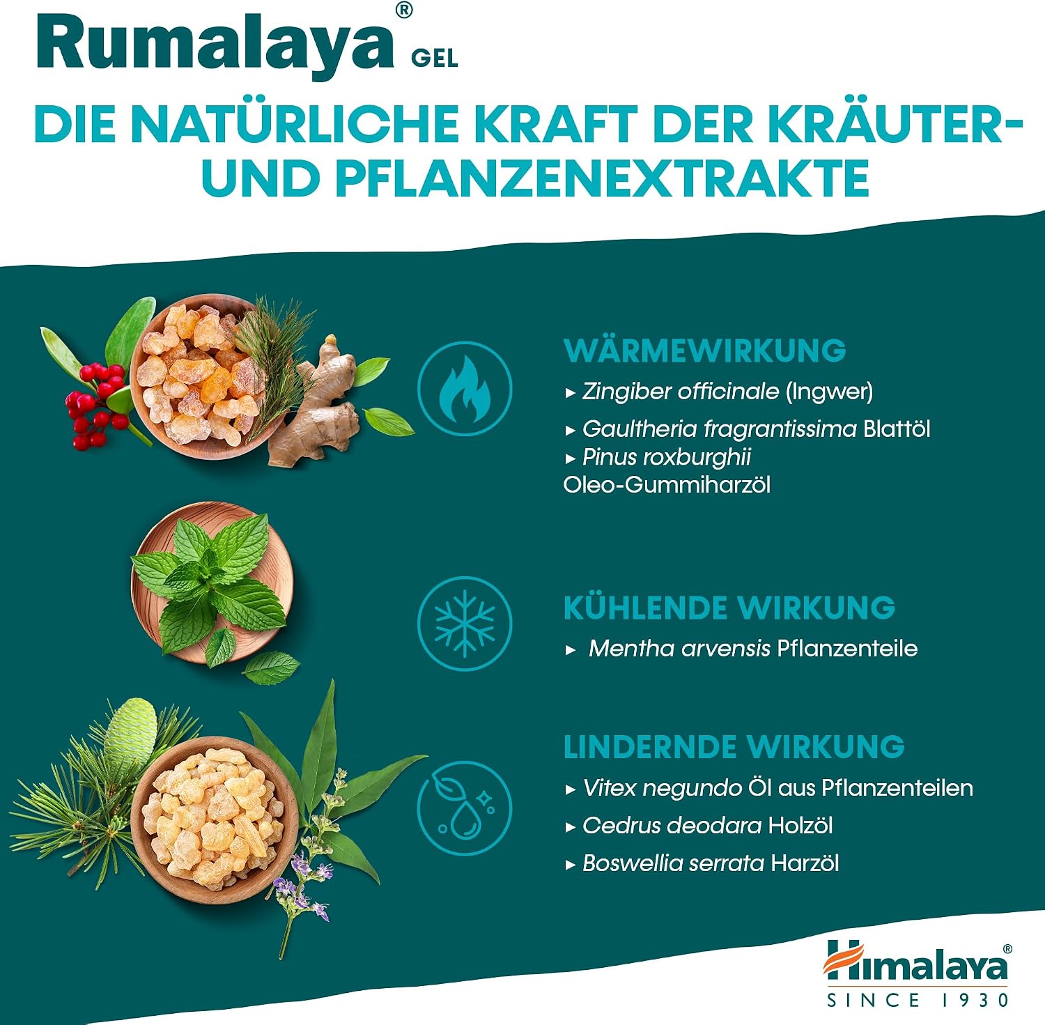 Thumbnail 5 de Himalaya Rumalaya Beruhigendes Gel – Schnell wirkendes Massagegel für Rücken, Nacken und Gelenke (50 g)
