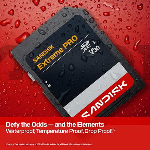 Thumbnail 4 de Sandisk 256GB Extreme PRO SD UHS-I Card (SDSDXXJ-256G-GSCIN): Real-world Performance for 4K and High-Res Stills