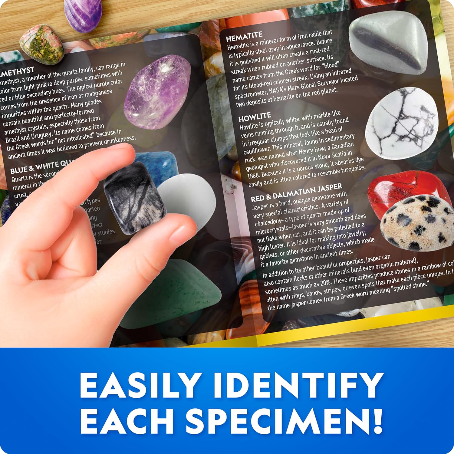 Thumbnail 3 de NATIONAL GEOGRAPHIC Gigantic Gemstone Dig Kit – 100 Real Gemstones Excavated from a Giant Brick