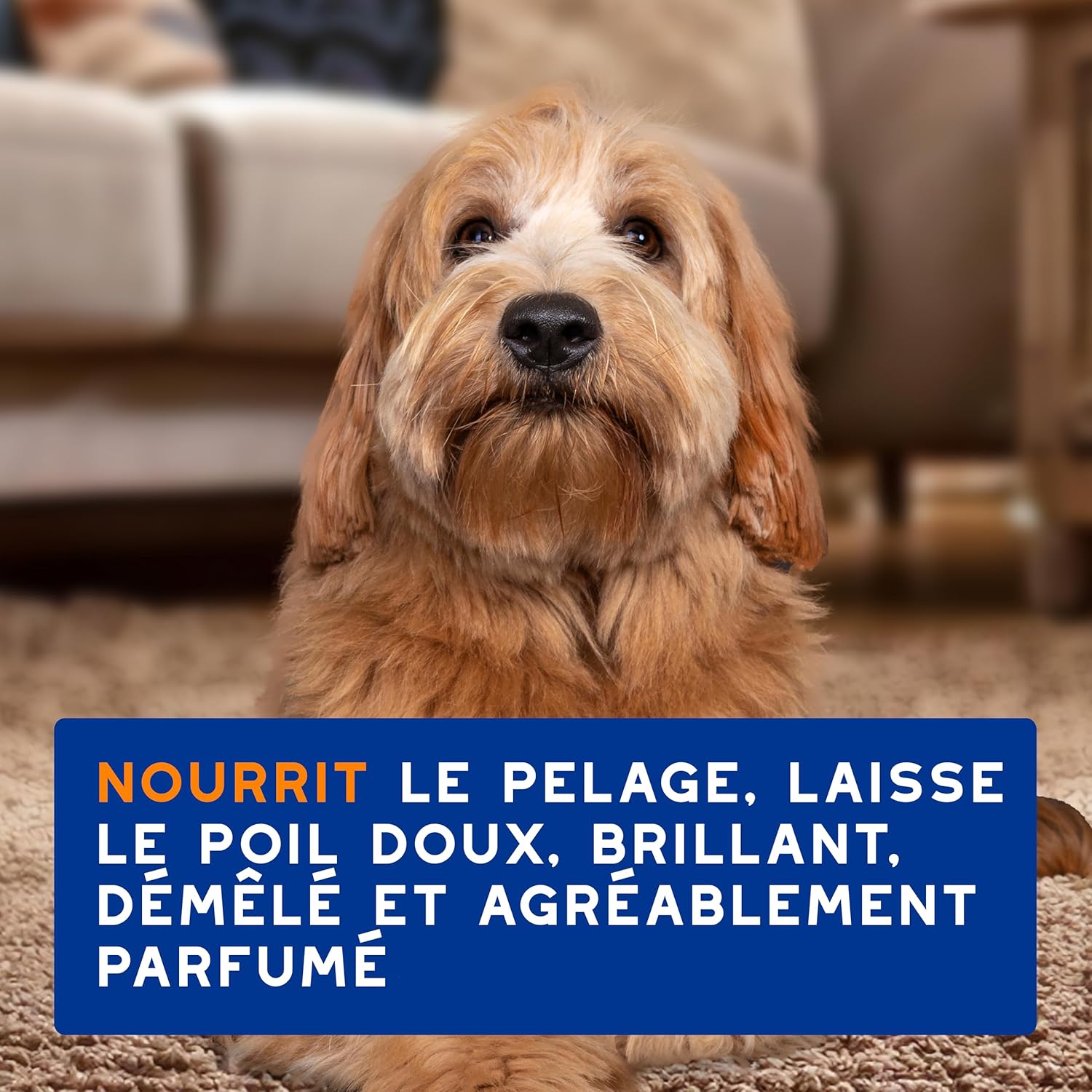 Thumbnail 6 de DOUXO Skin & Coat Spa – Spray démêlant Ultra-Safe pour chiens, 340 mL