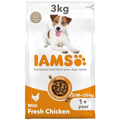 Imagen de IAMS Adult Small Medium Dry Dog Food Chicken 3kg: steady, reliable nourishment for small and medium dogs en OfertitasTOP