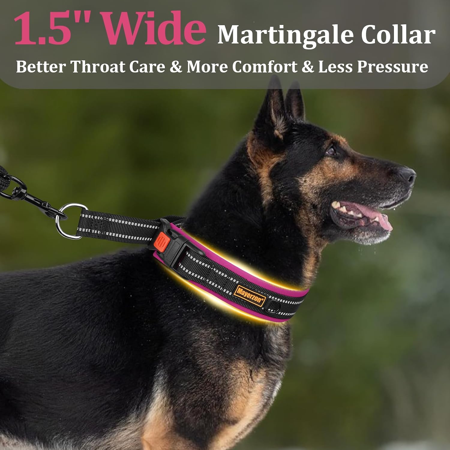 Thumbnail 6 de Mayerzon 3.8cm Wide Martingale Collar for Dogs (XL) – Reflective, No Pull, Soft Padded