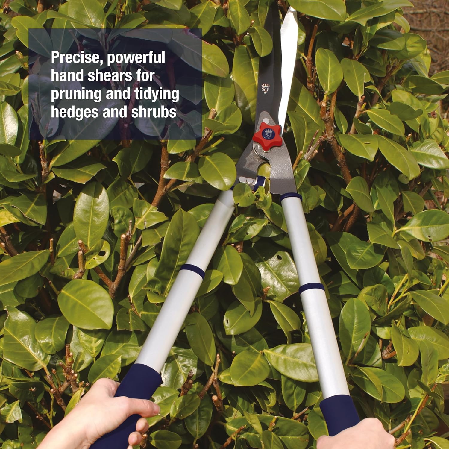 Thumbnail 2 de Spear & Jackson 8120RS Razorsharp Telescopic Hedge Shears