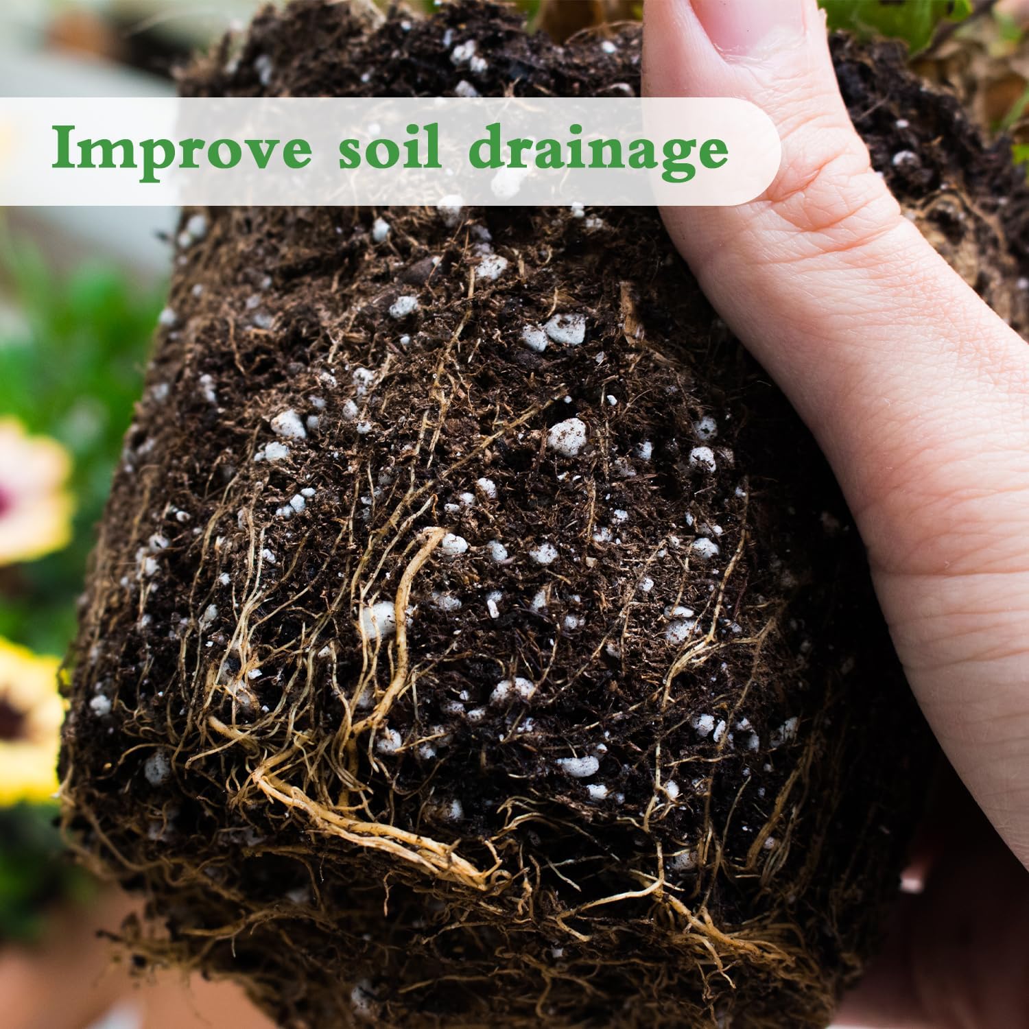 Thumbnail 3 de HAINANSTRY 2QT Perlite for Plants, Soil Aeration and Drainage