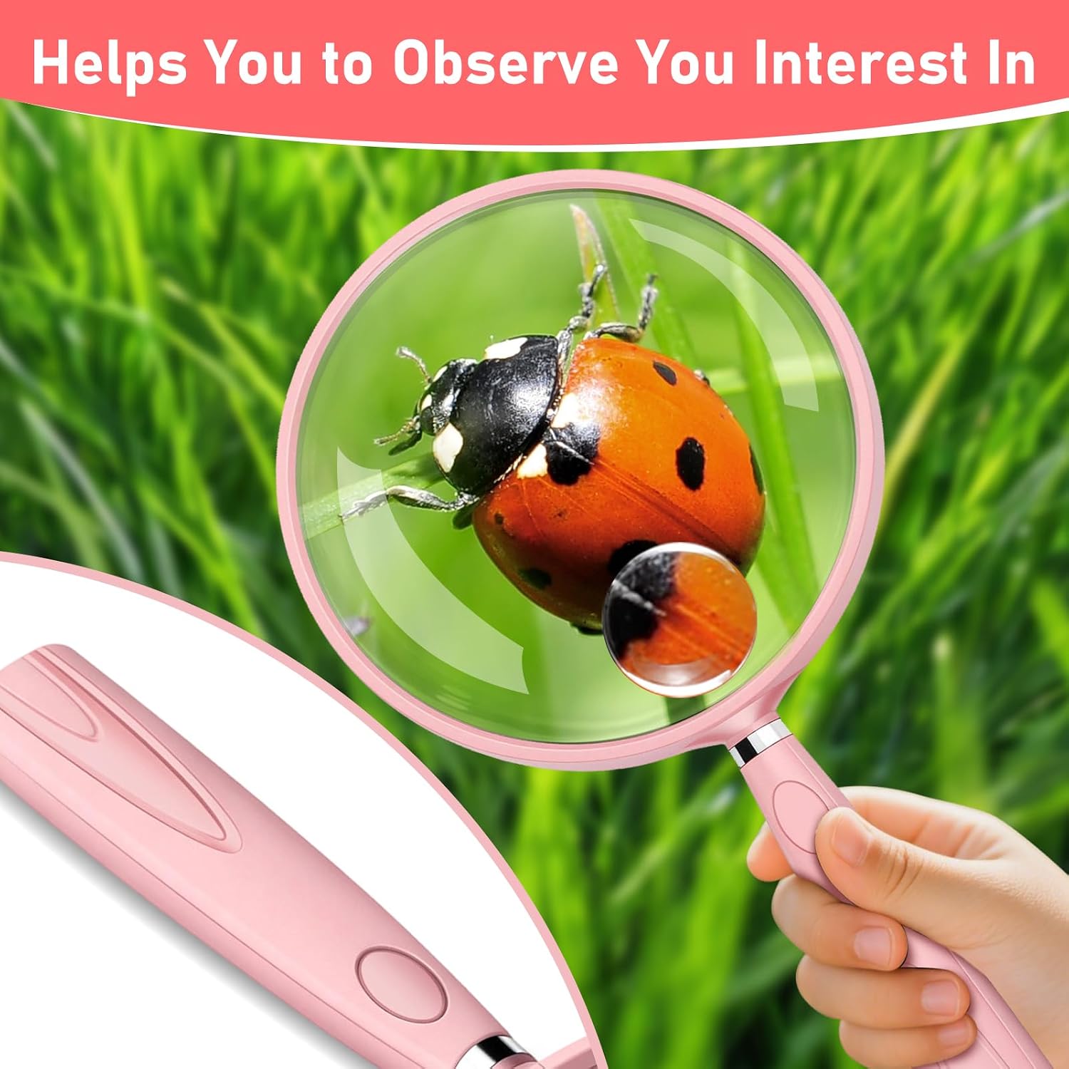 Detalle 2 de Handheld Magnifying Glass, 90 mm Lens